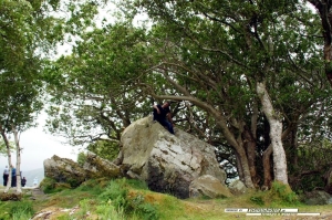 Ring of Kerry - 072